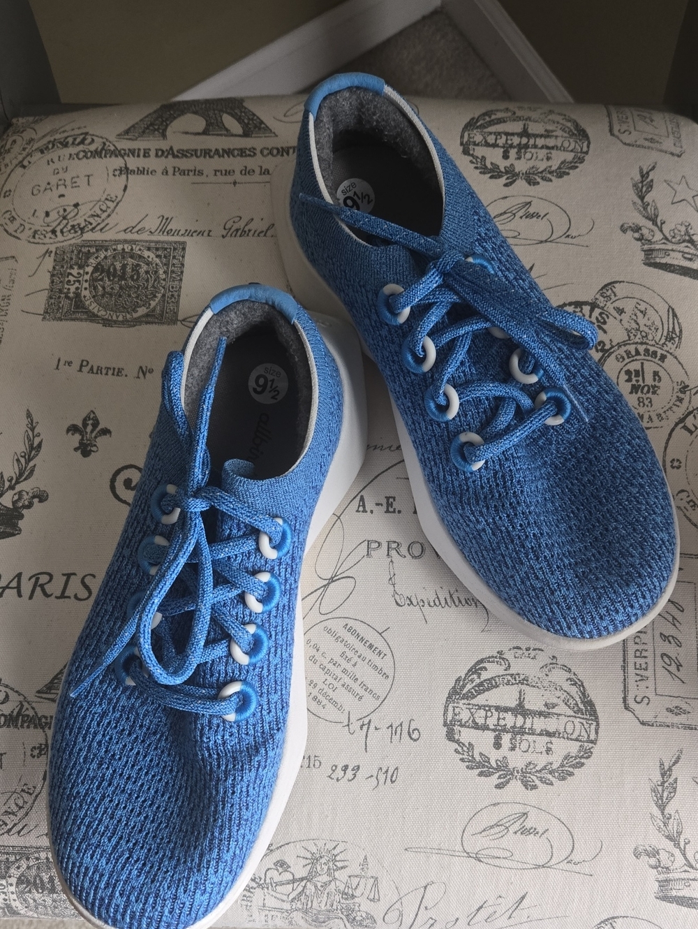 allbirds Women's Blue Knit Lace-Up Sneakers